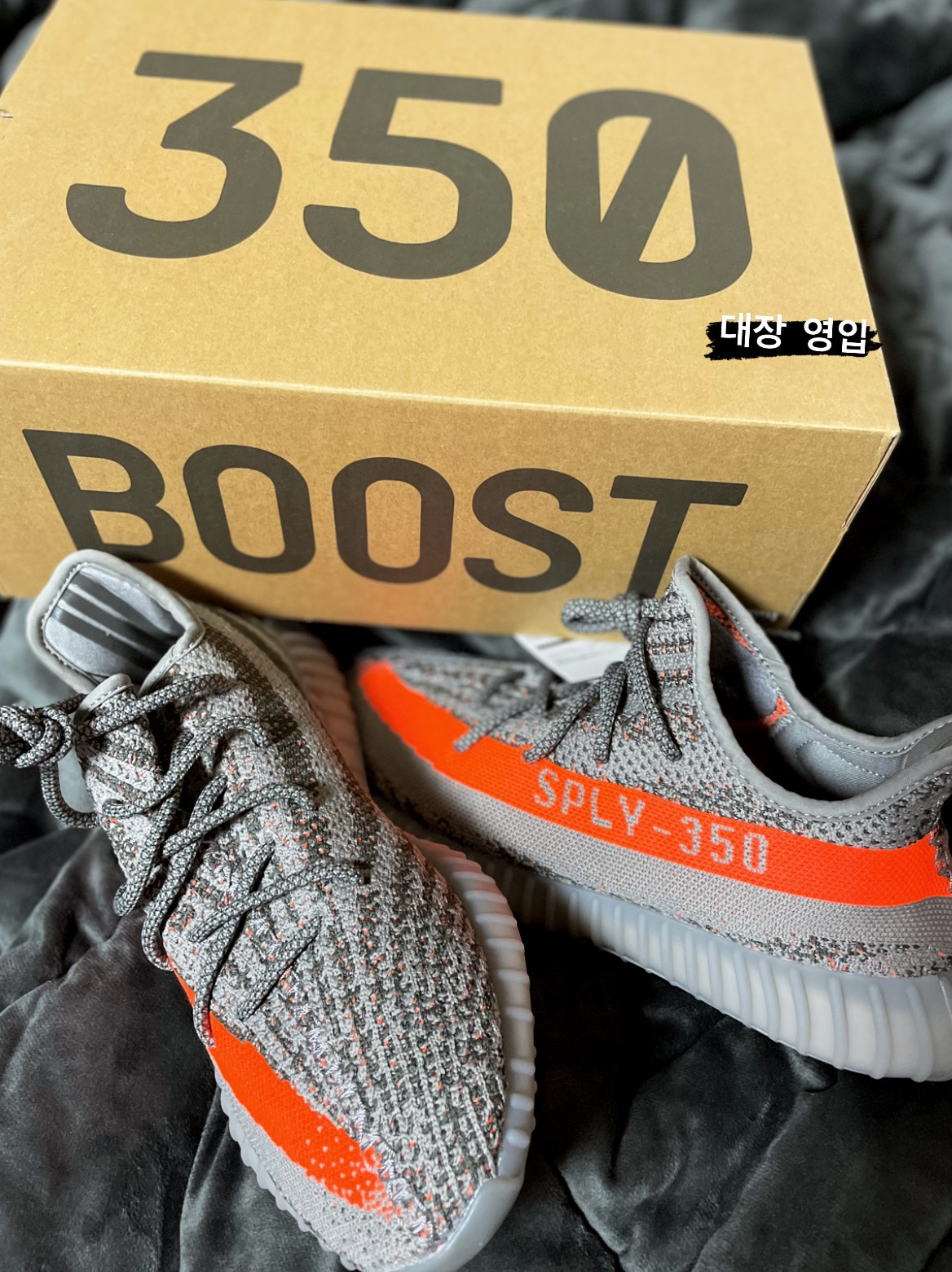 Adidas Yeezy Boost 350 V2 Beluga - Reflective 착용 스타일 - 1