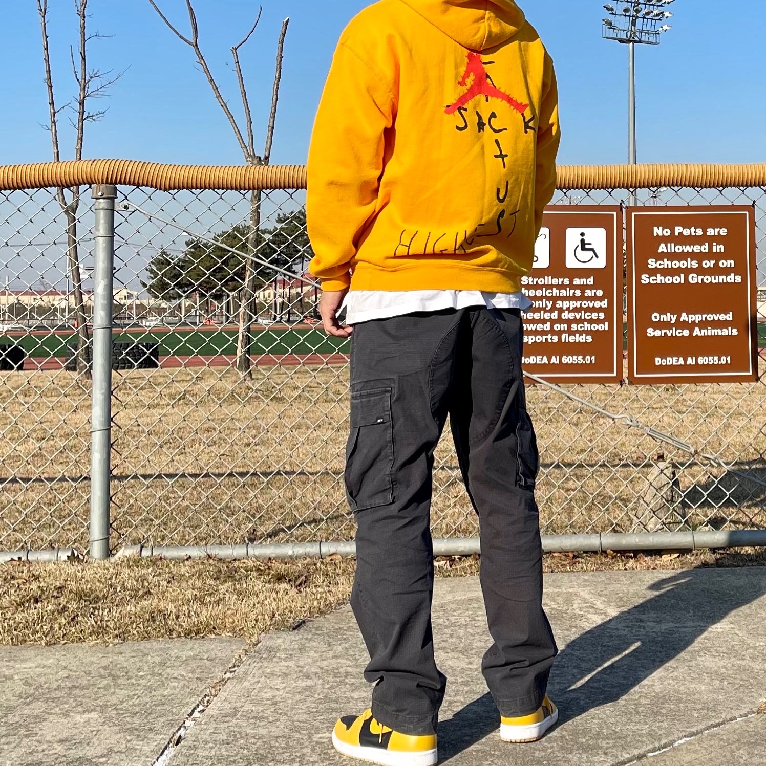 Jordan 1 Retro High OG Pollen 착용 스타일 - 2