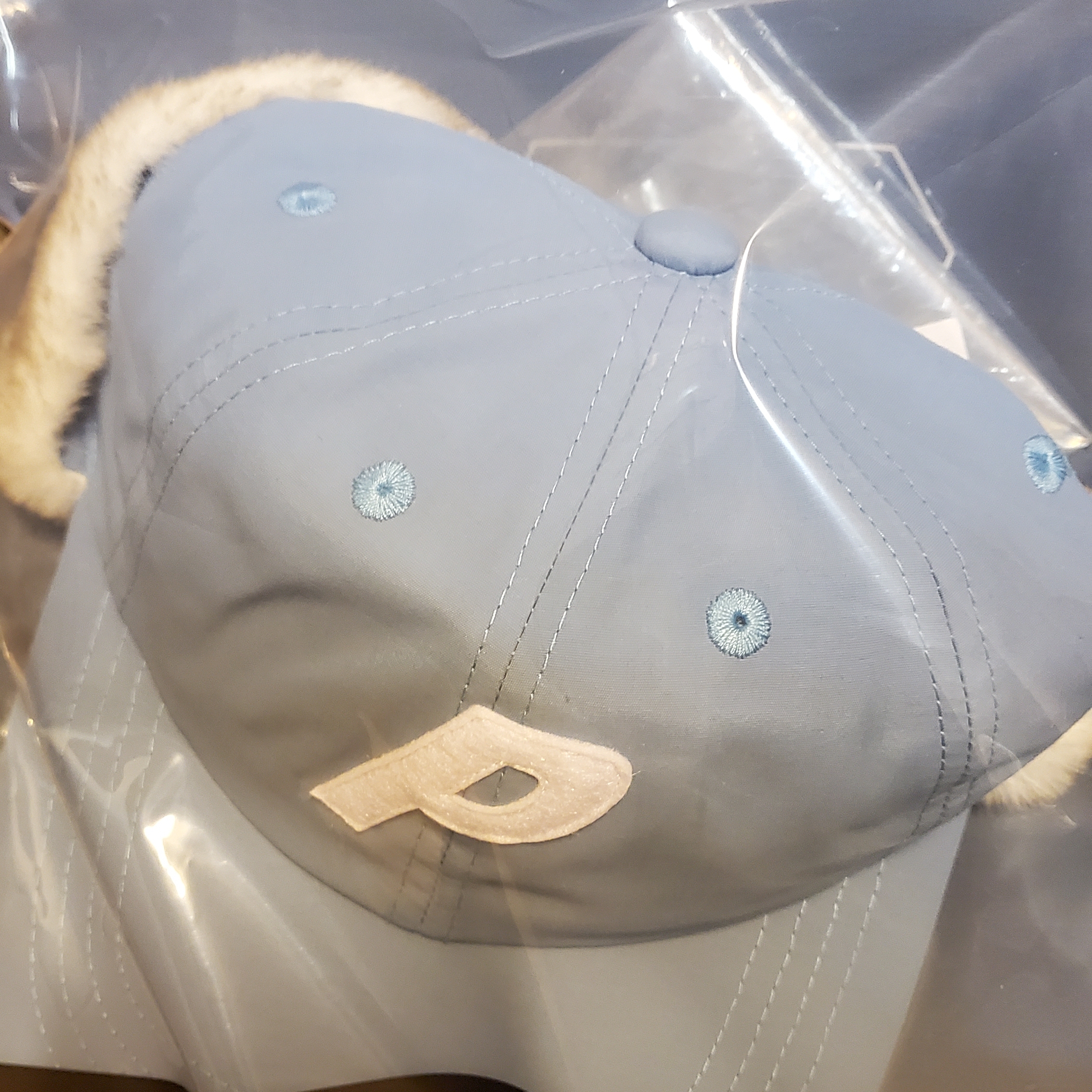 Palace Dog Ear Shell 6-Panel Light Blue - 21FW 착용 스타일