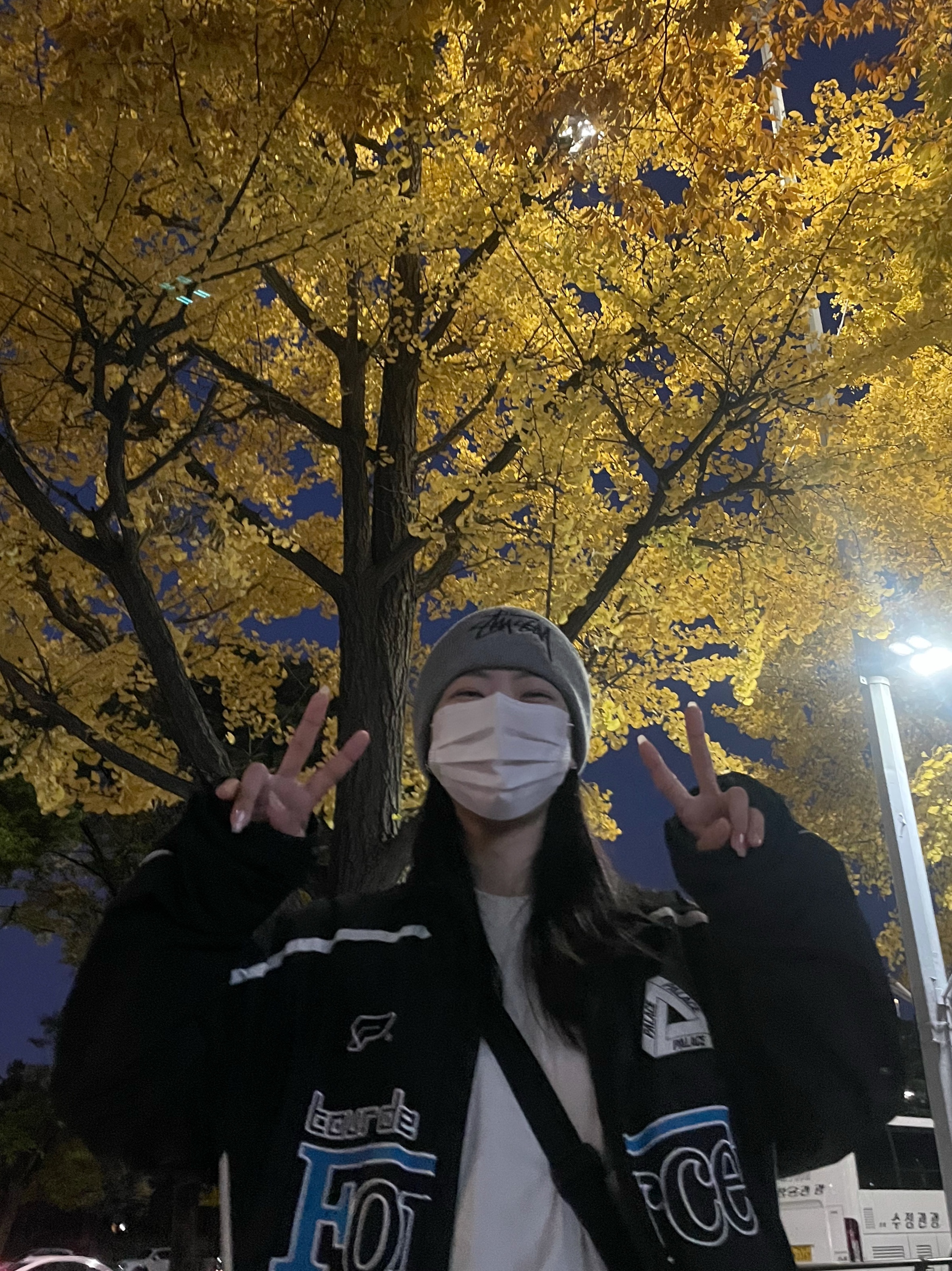 Palace Europa Jacket Black - 20FW 착용 스타일