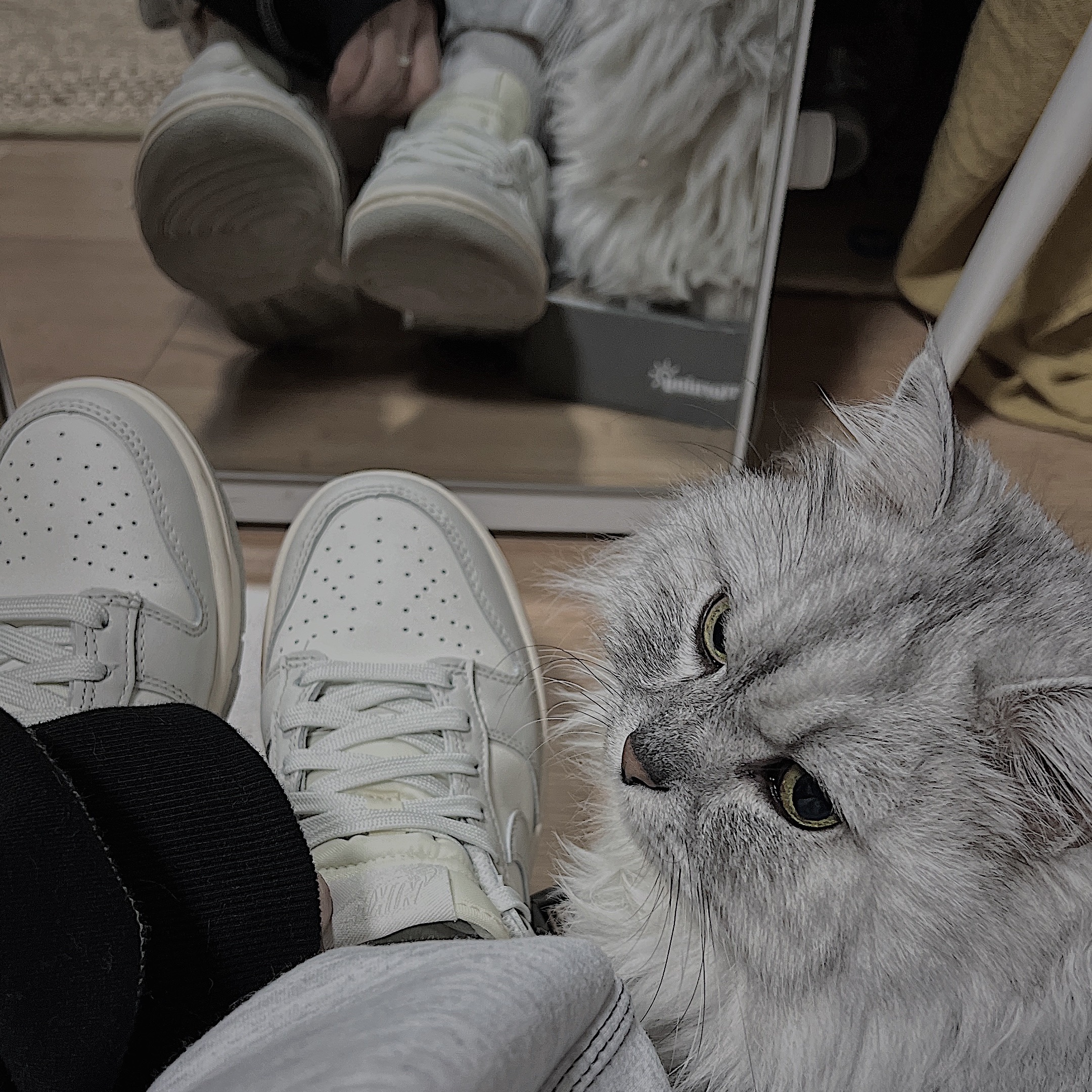 (W) Nike Dunk Low Light Bone 착용 스타일 - 3