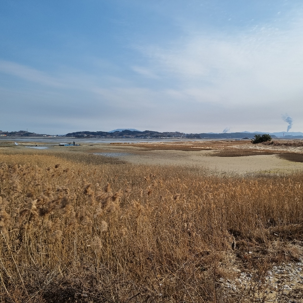 관심 유저 프로필 이미지
