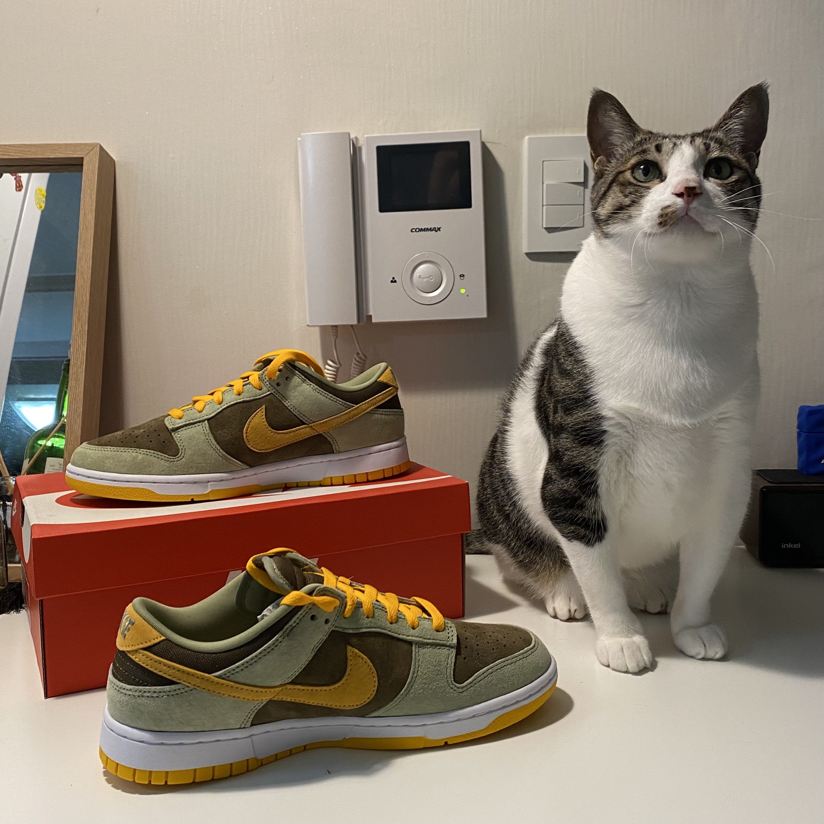 Nike Dunk Low SE Dusty Olive 착용 스타일 - 2