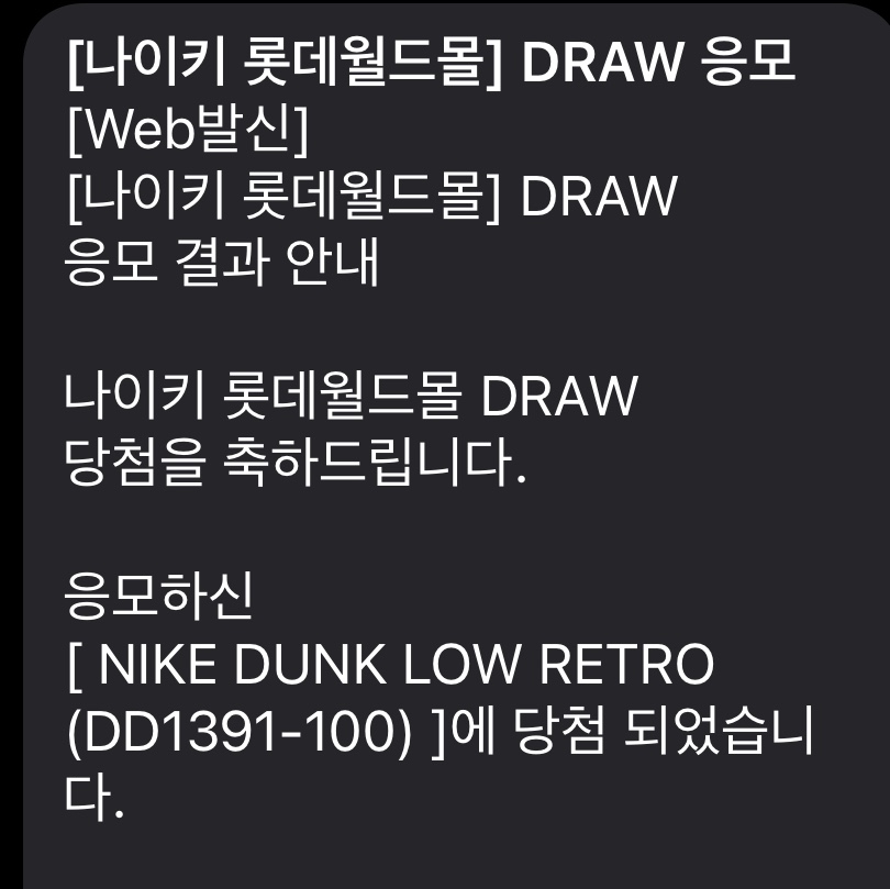 Nike Dunk Low Retro Black 착용 스타일 - 1