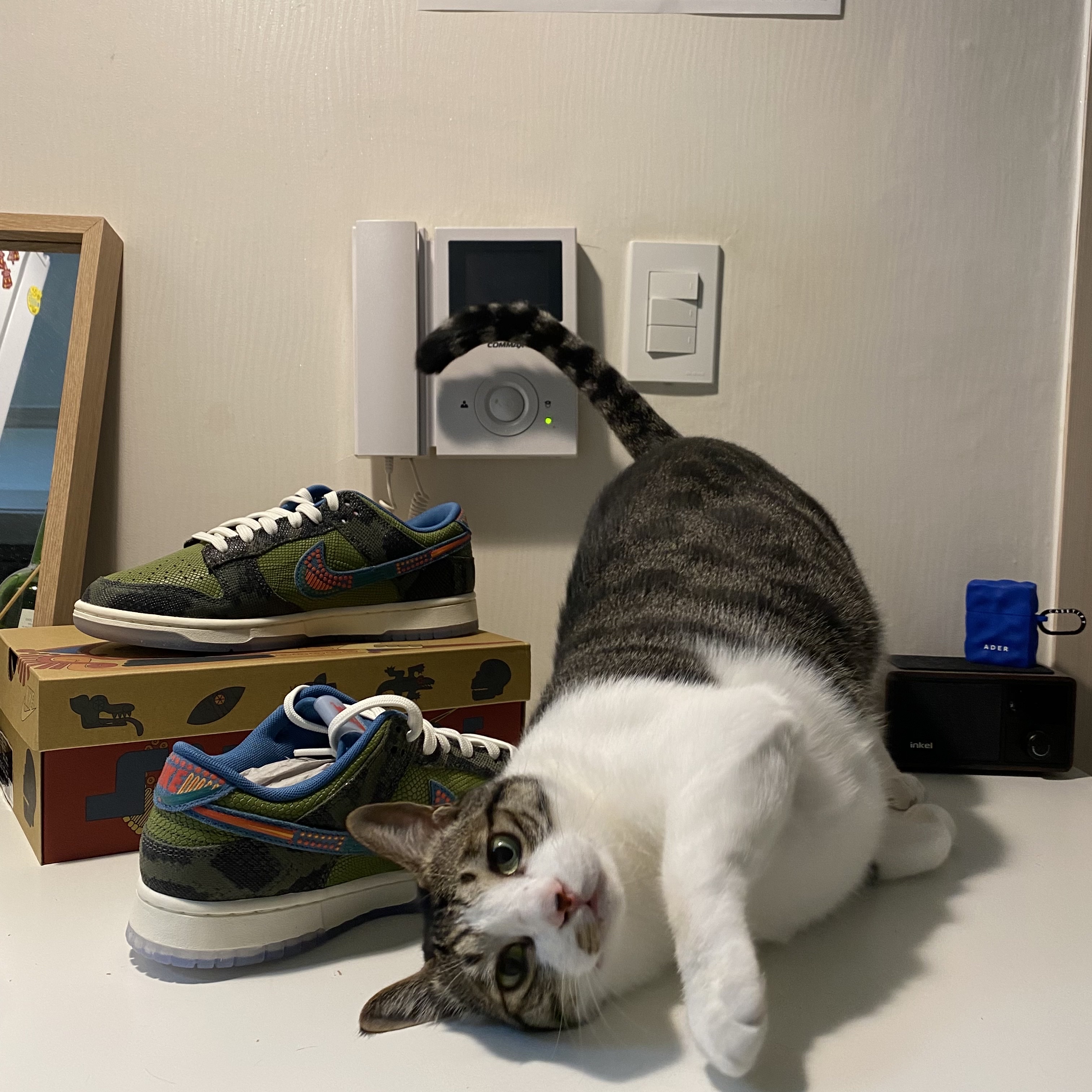 Nike Dunk Low Premium Siempre Familia 착용 스타일 - 2