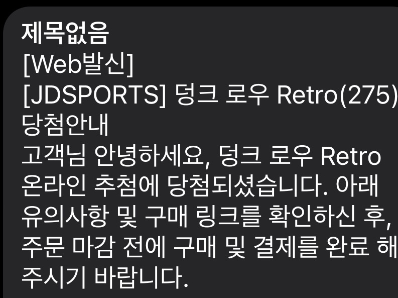 Nike Dunk Low Retro Black 착용 스타일 - 1