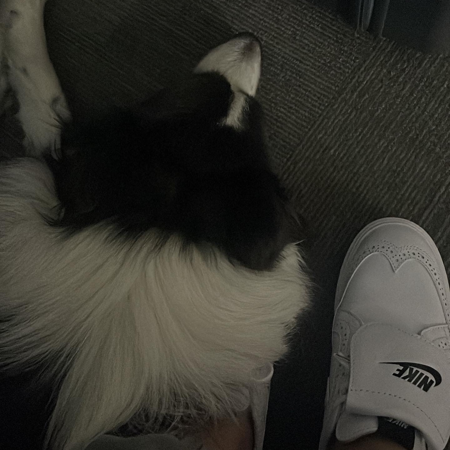 Nike x Peaceminusone Kwondo1 White 착용 스타일 - 2