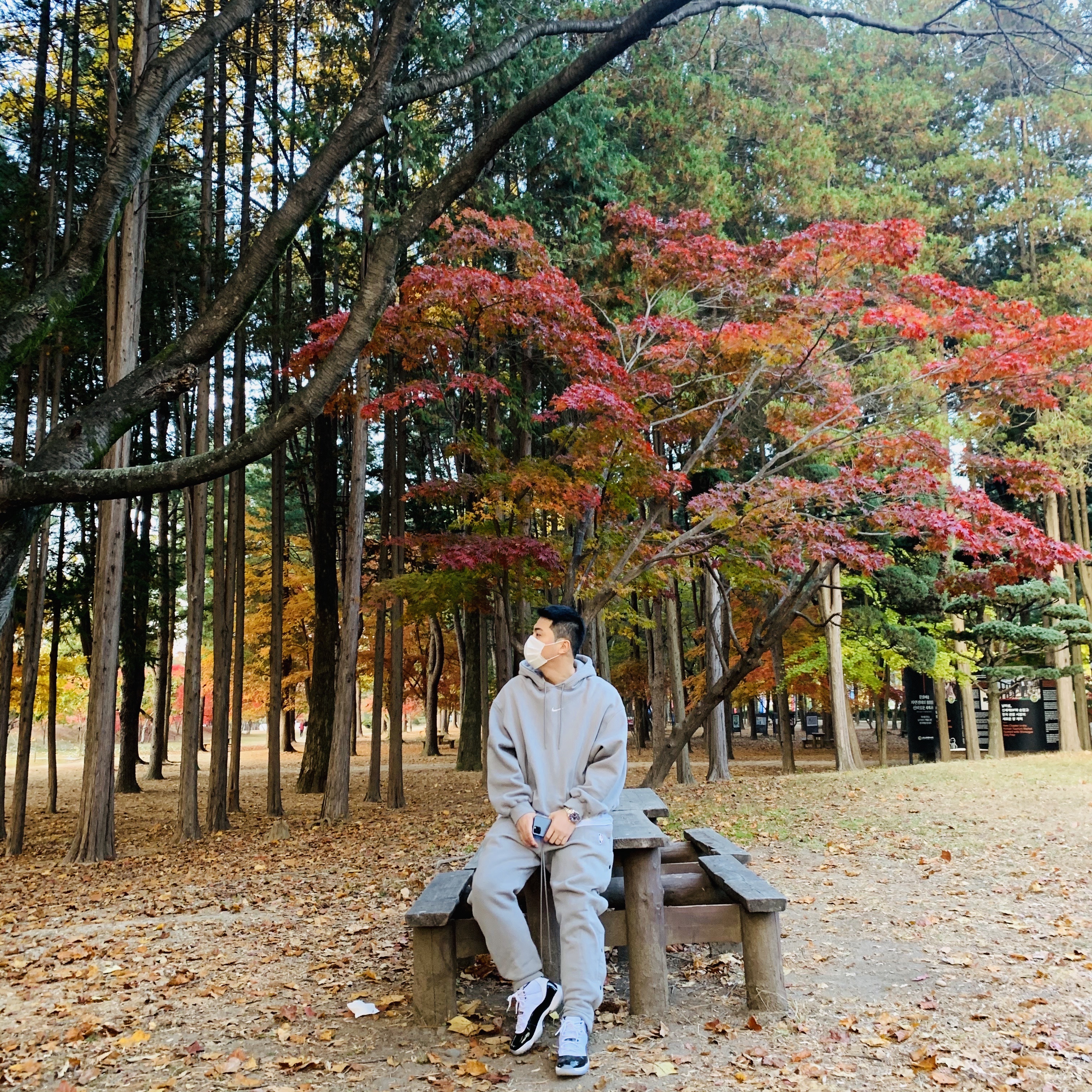 Jordan 11 Retro Concord 2018, Nike x Fear of God Warm Up Pants Dust 착용 스타일 - 2