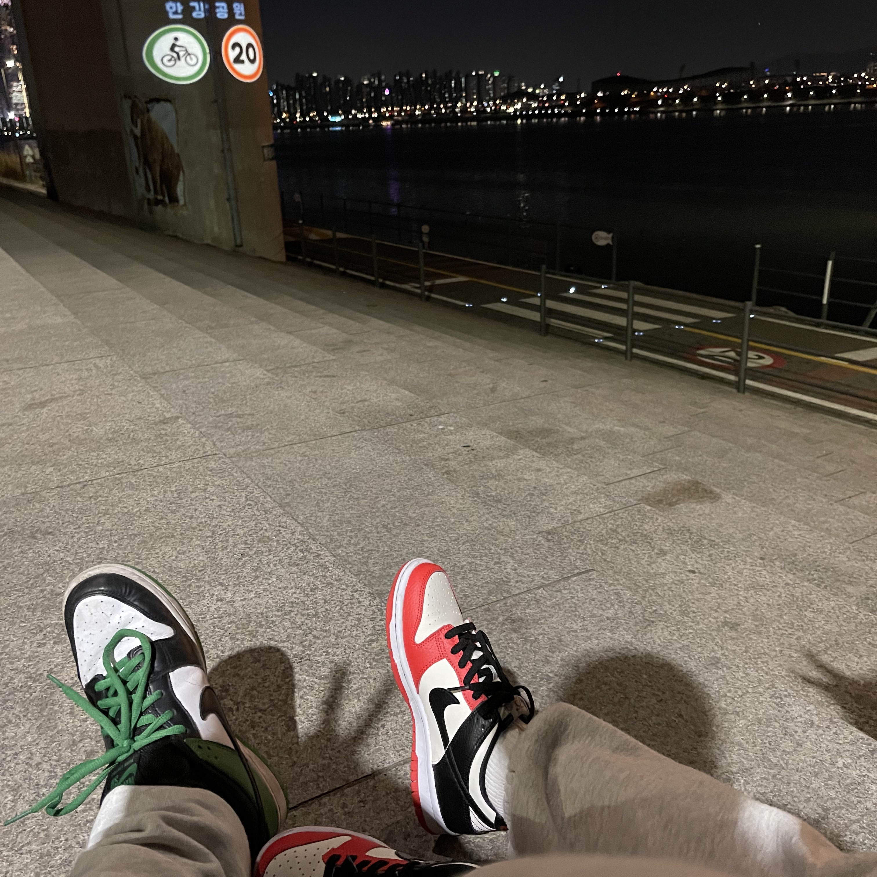 Nike SB Dunk Low Pro Black and Classic Green, (GS) Nike x NBA Dunk Low Black and Chile Red 착용 스타일