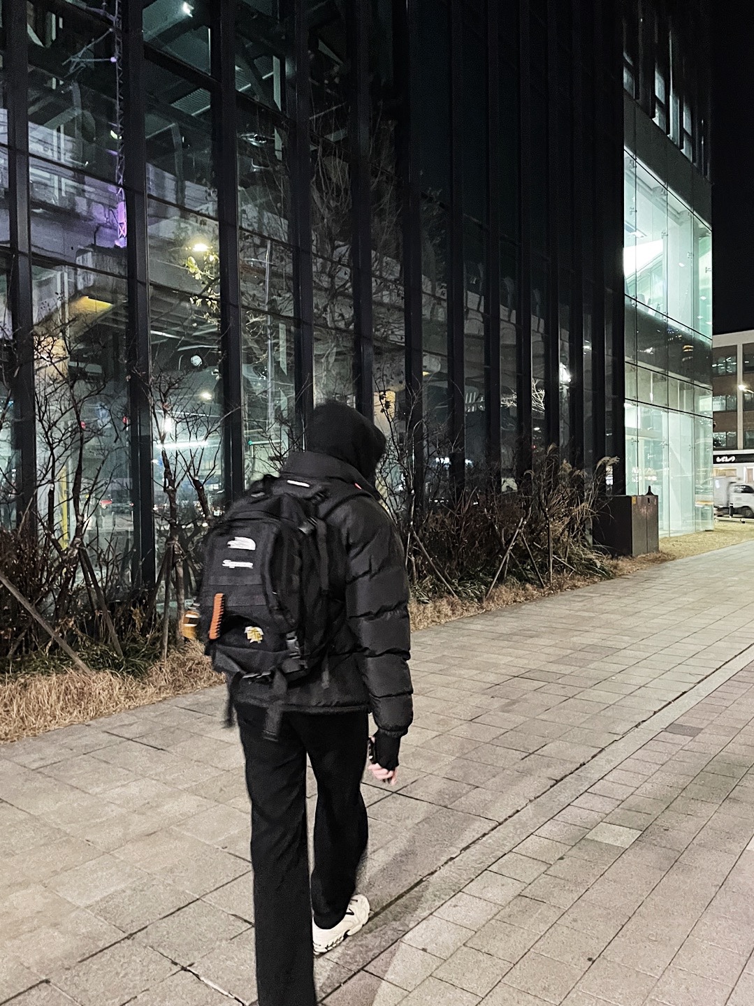 Nike x Stussy Air Zoom Spiridon Cage 2 Fossil, Supreme x The North Face RTG Backpack Black - 20SS 착용 스타일