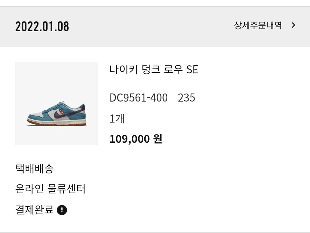 (GS) Nike Dunk Low SE Next Nature Riftblue 착용 스타일 - 1