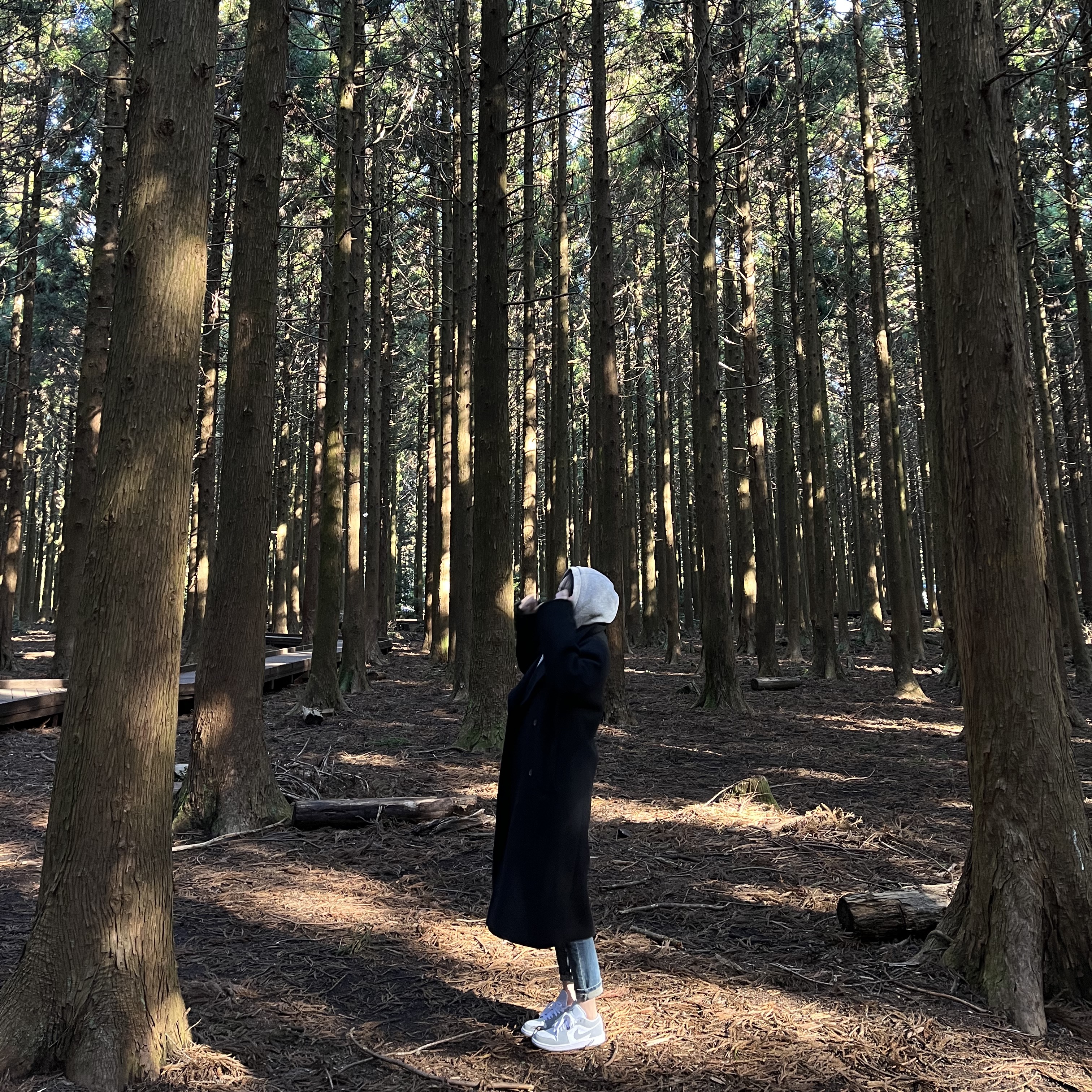 (W) Jordan 1 Low White Wolf Grey, Nike NRG Solo Swoosh Fleece Hoodie Dark Grey Heather - US/EU 착용 스타일 - 3