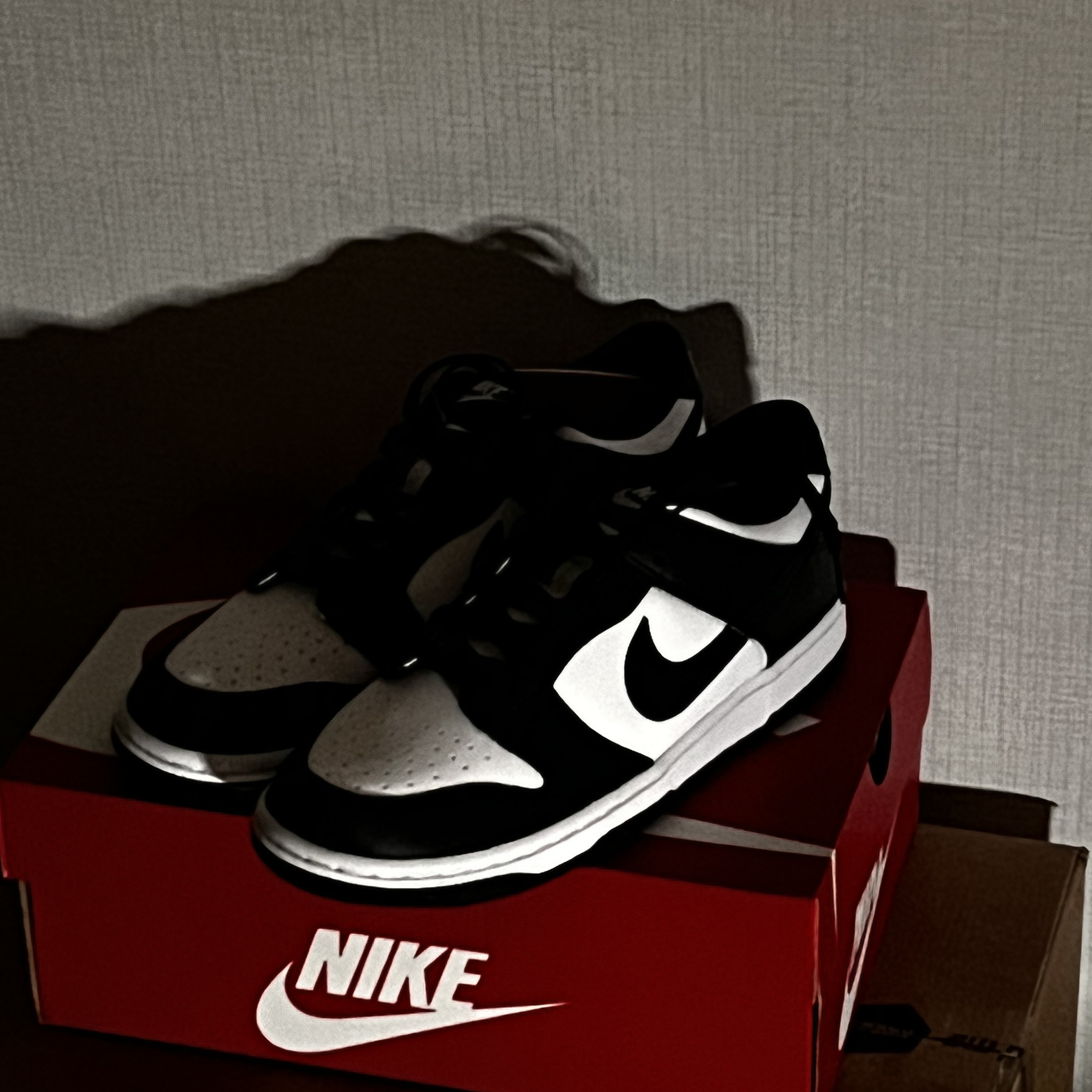 Nike Dunk Low Retro Black, (W) Nike Dunk Low Black 착용 스타일