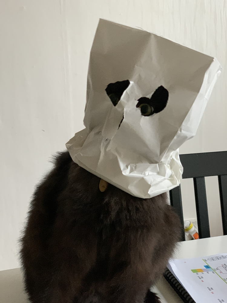 관심 유저 프로필 이미지