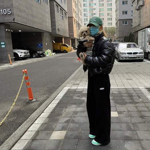 스타일 카드