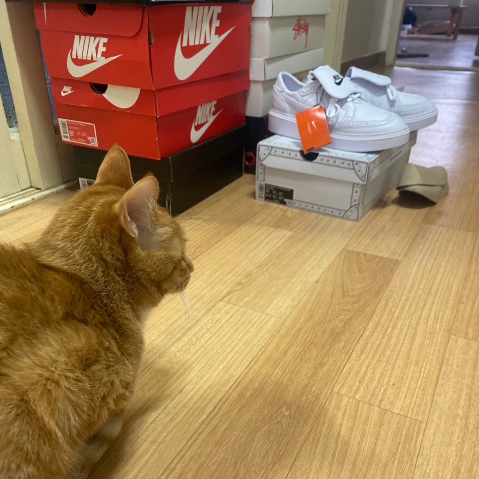 Nike x Peaceminusone Kwondo1 White 착용 스타일