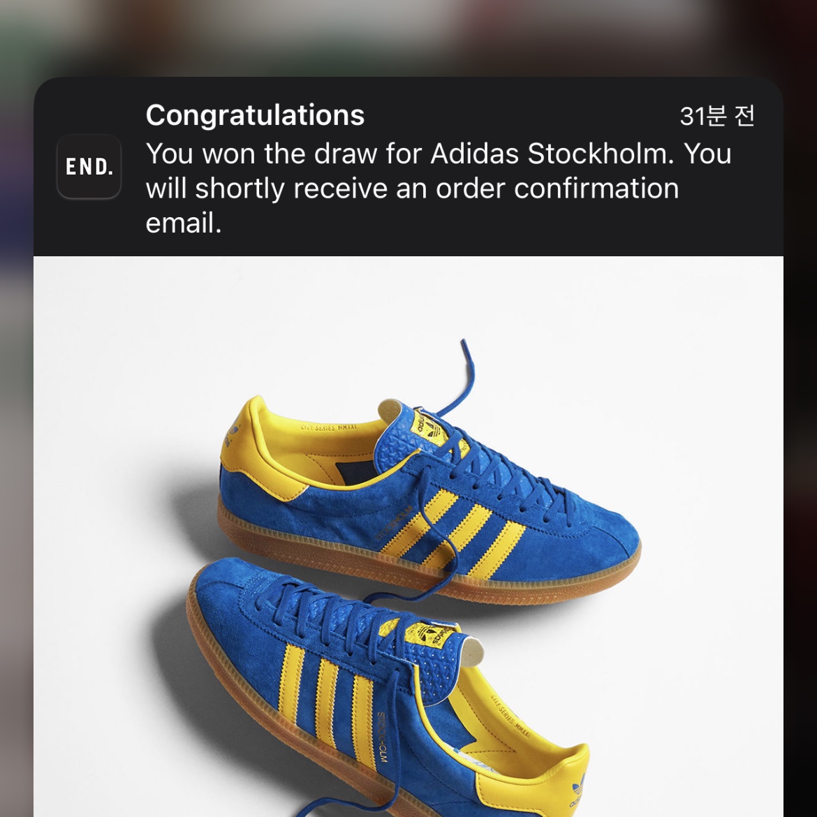 Adidas City Series Stockholm 착용 스타일 - 1