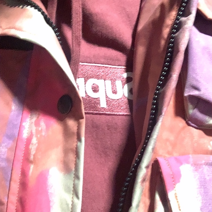 Supreme x The North Face Cargo Jacket Multi-Color - 20SS, Supreme Box Logo Hooded Sweatshirt Plum - 21FW 착용 스타일 - 2