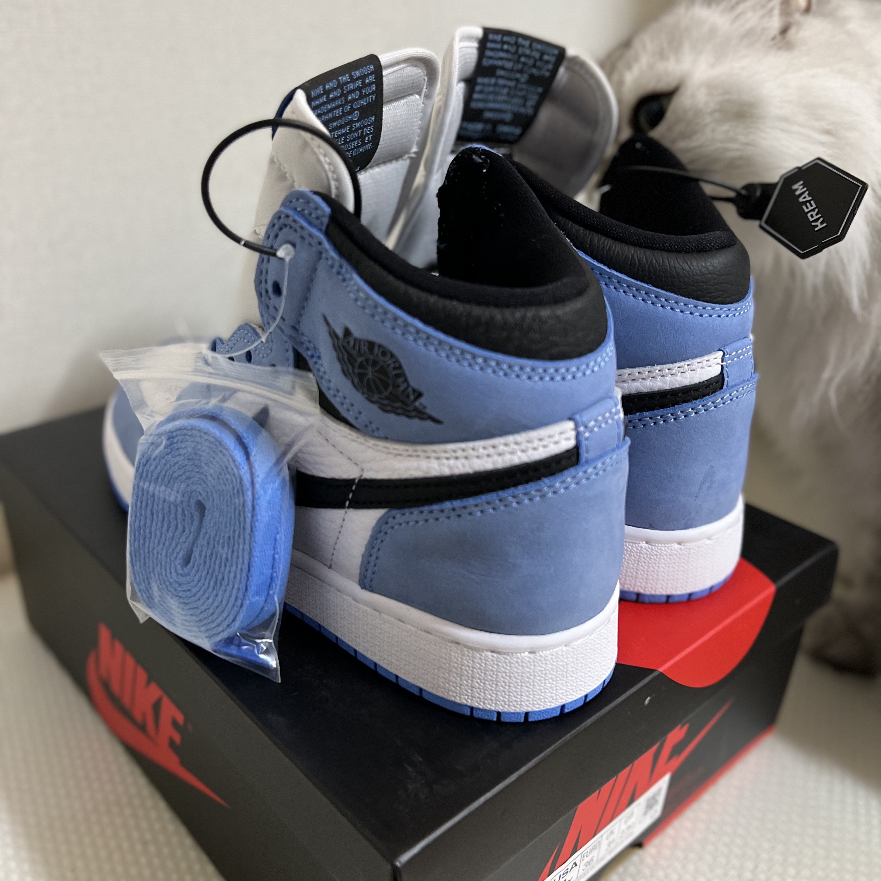(GS) Jordan 1 Retro High OG University Blue 착용 스타일 - 3