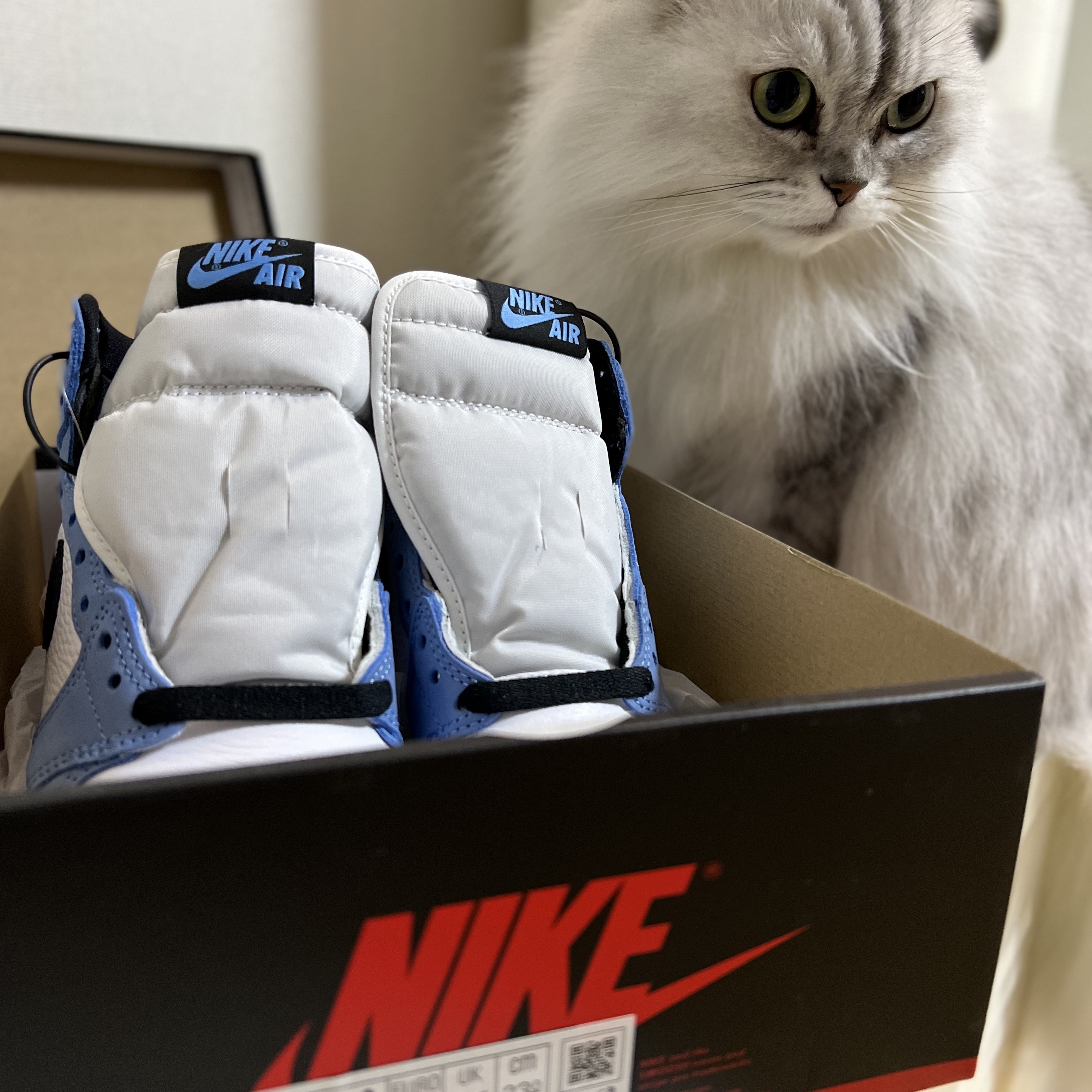 (GS) Jordan 1 Retro High OG University Blue 착용 스타일 - 1