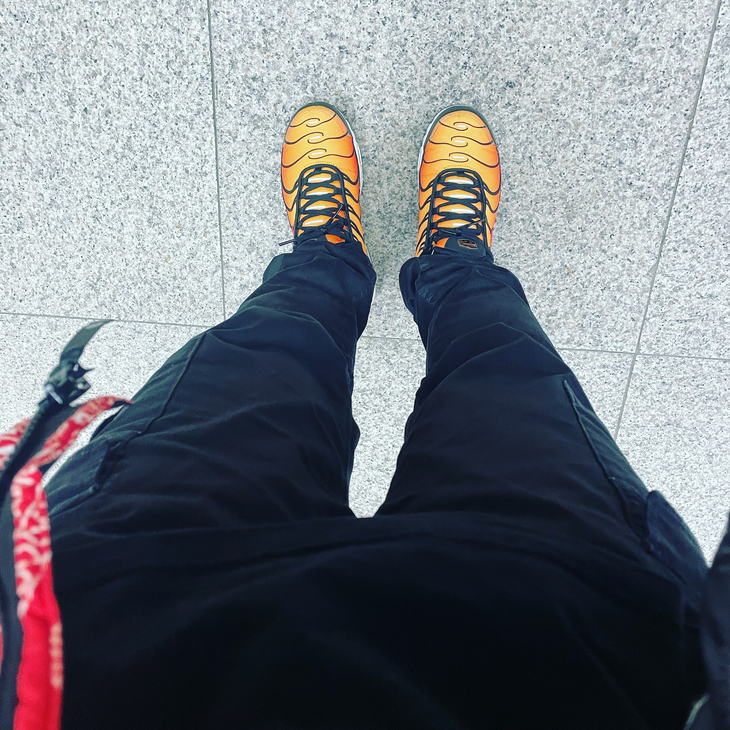 Nike Air Max Plus OG Pimento 2018, The North Face Nuptse Down Jacket Red 착용 스타일