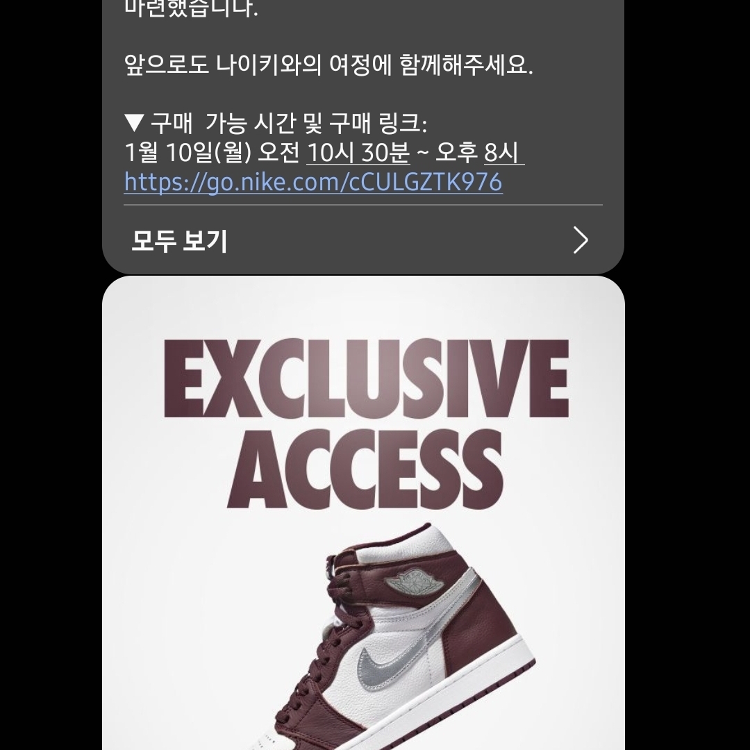 Jordan 1 Retro High OG Bordeaux 착용 스타일 - 1