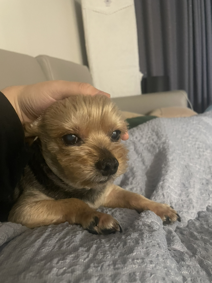 관심 유저 프로필 이미지