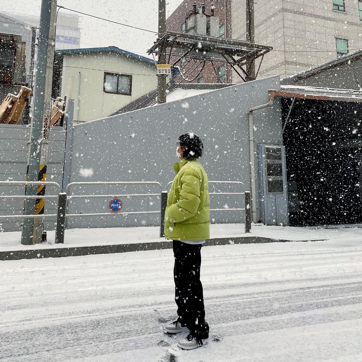 Stussy Ripstop Down Puffer Jacket Lime, Stussy Surplus Cargo Pants Black 착용 스타일 - 2