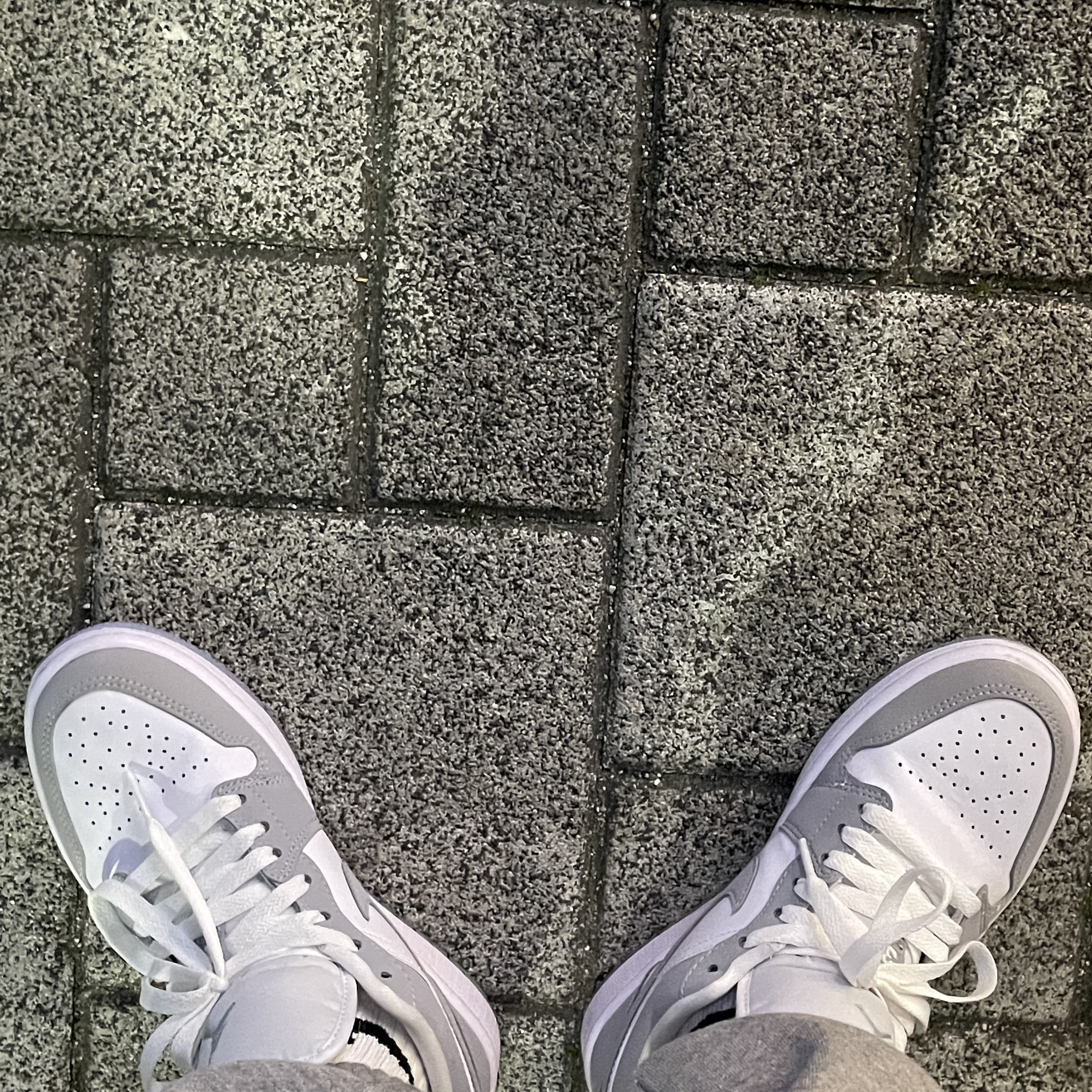 (W) Jordan 1 Low White Wolf Grey 착용 스타일