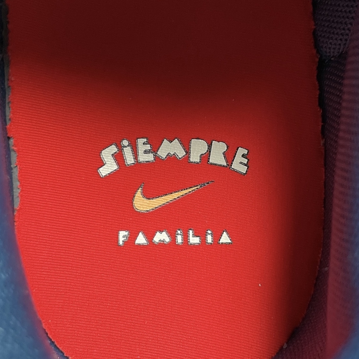 Nike Dunk Low Premium Siempre Familia 착용 스타일 - 3