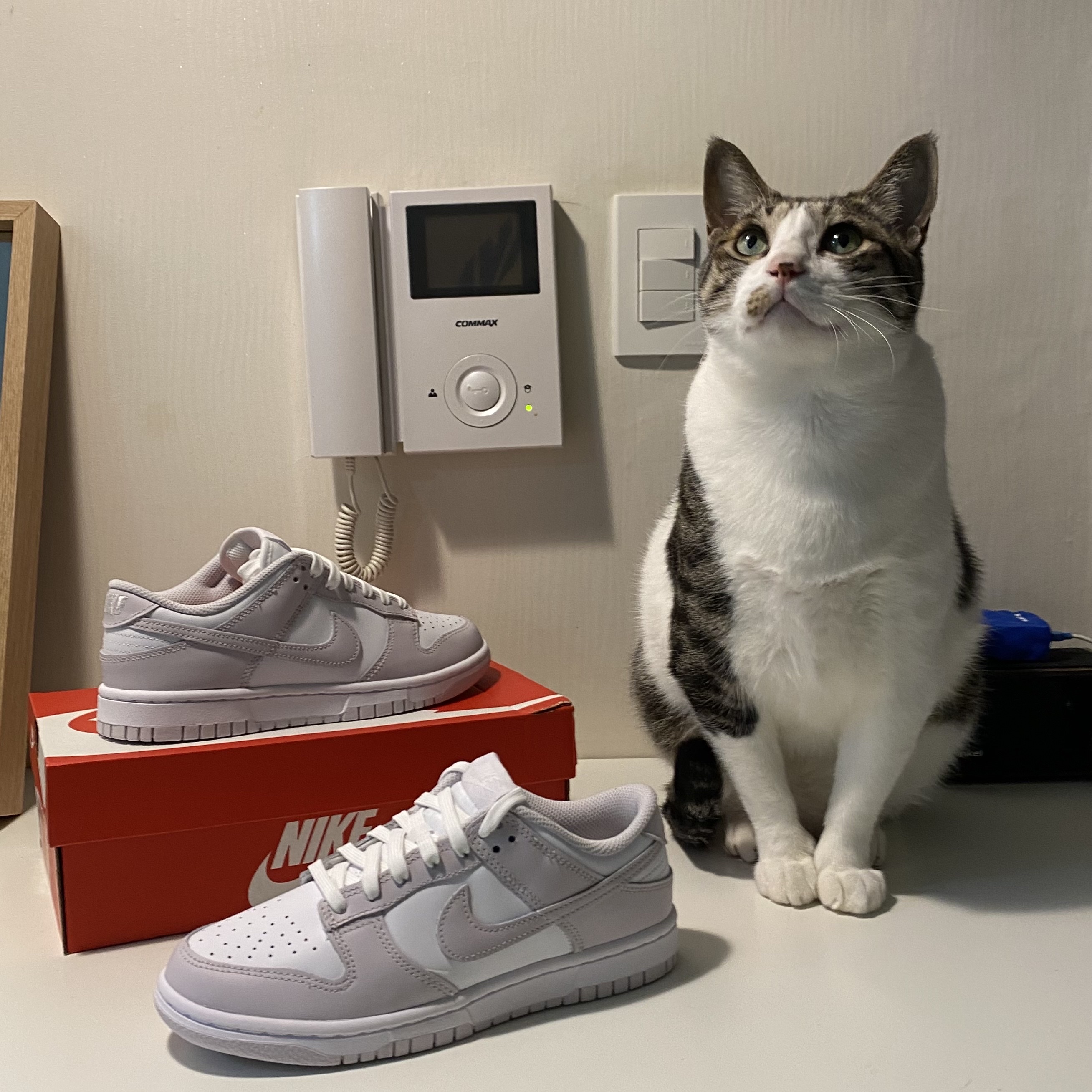 (W) Nike Dunk Low Venice 착용 스타일 - 2