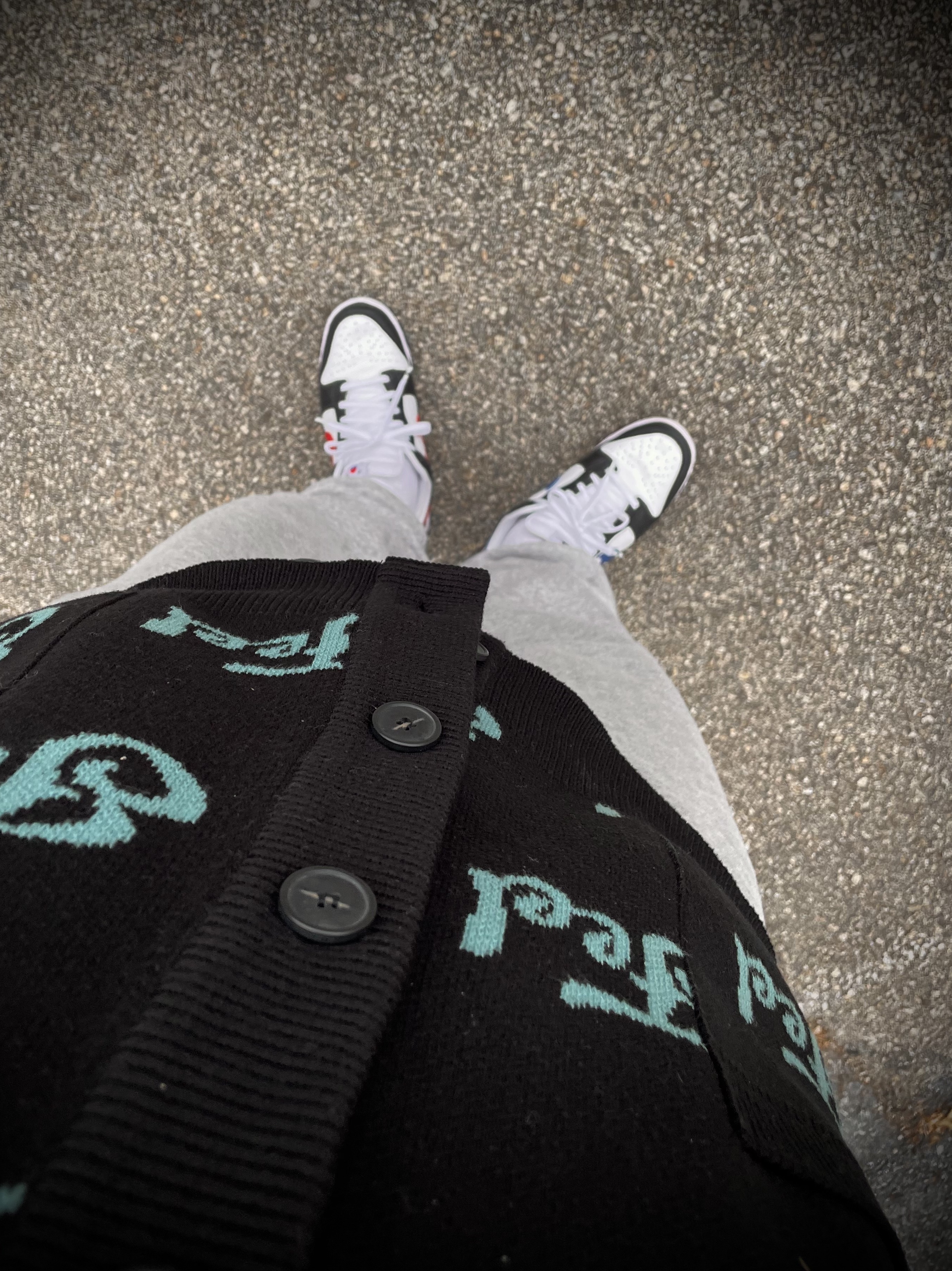 Nike Dunk Low SE Seoul (With Special Gift) 착용 스타일