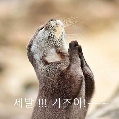 살찐곰님의 스타일