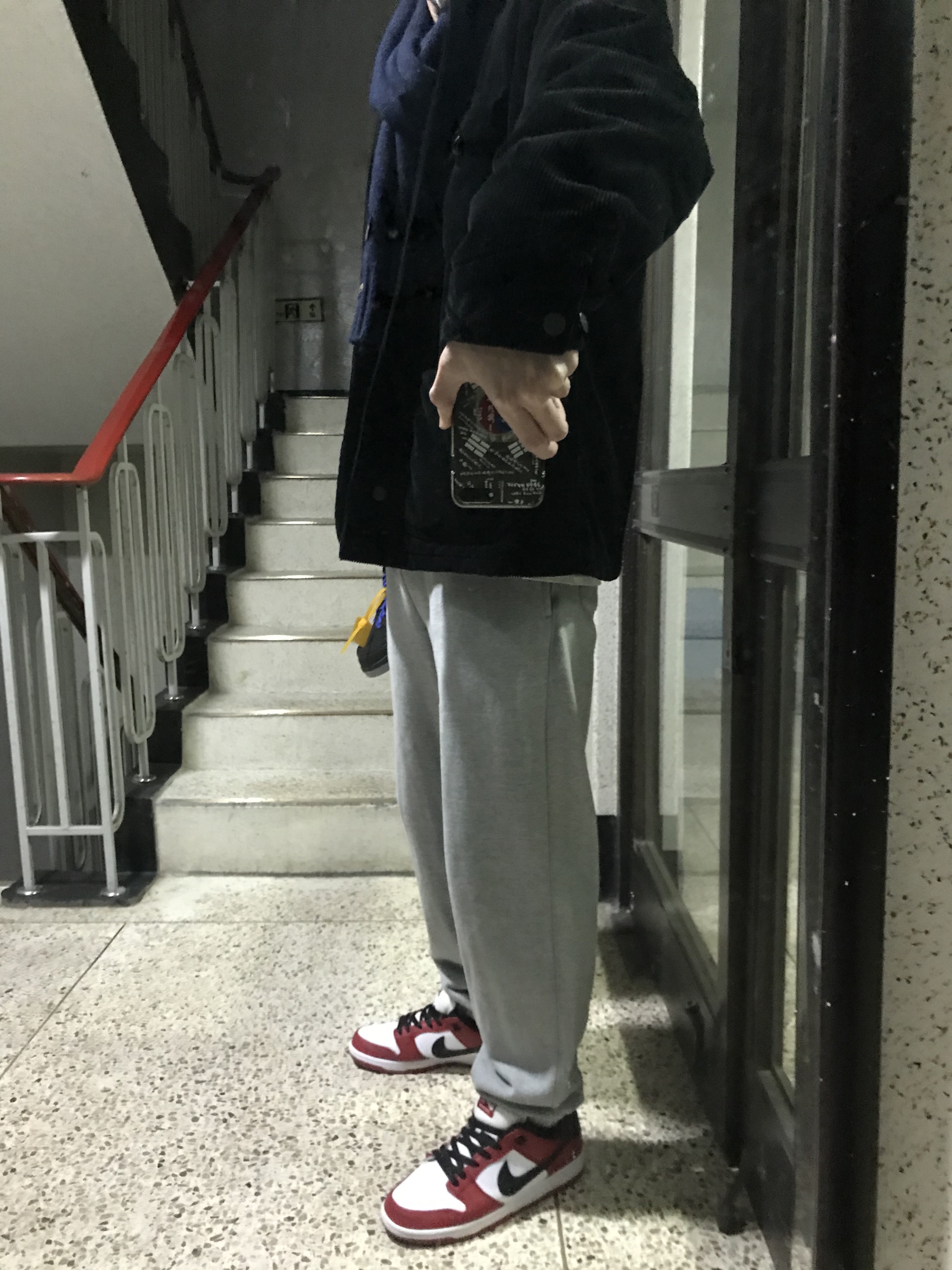 Nike SB Dunk Low Pro Chicago 착용 스타일