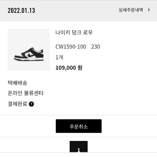Nike Dunk Low Retro Black 착용 스타일 - 3
