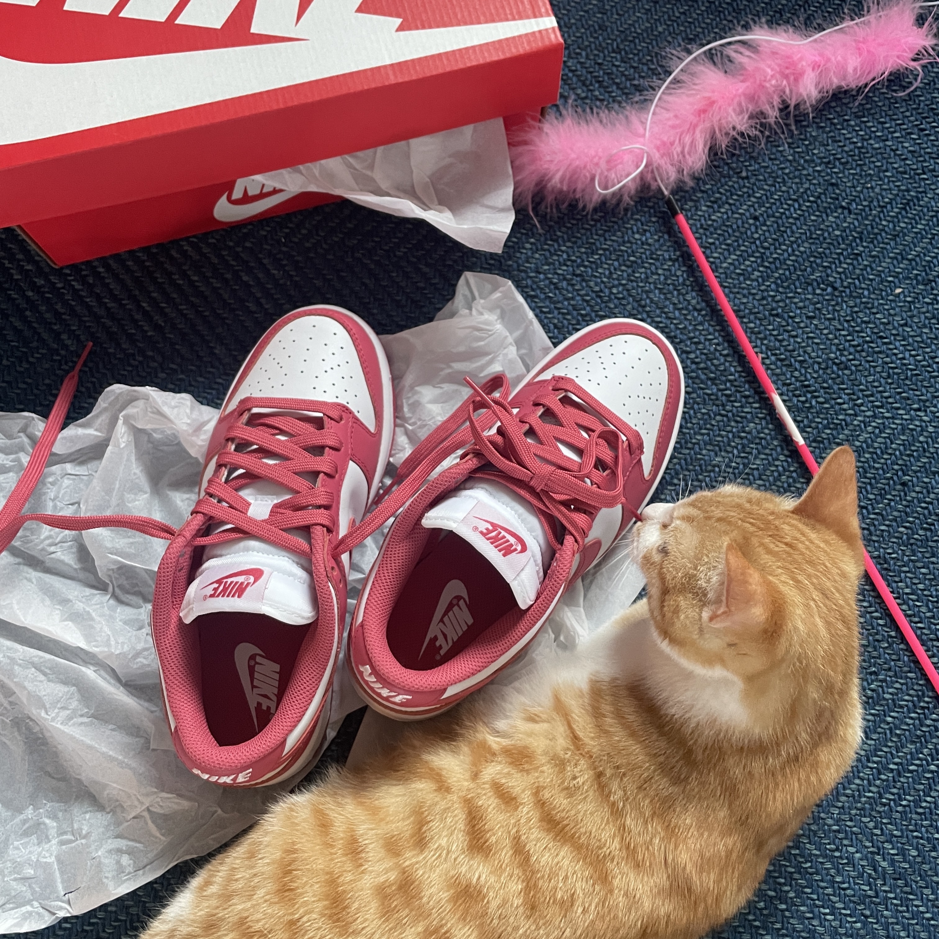 (W) Nike Dunk Low Archeo Pink 착용 스타일