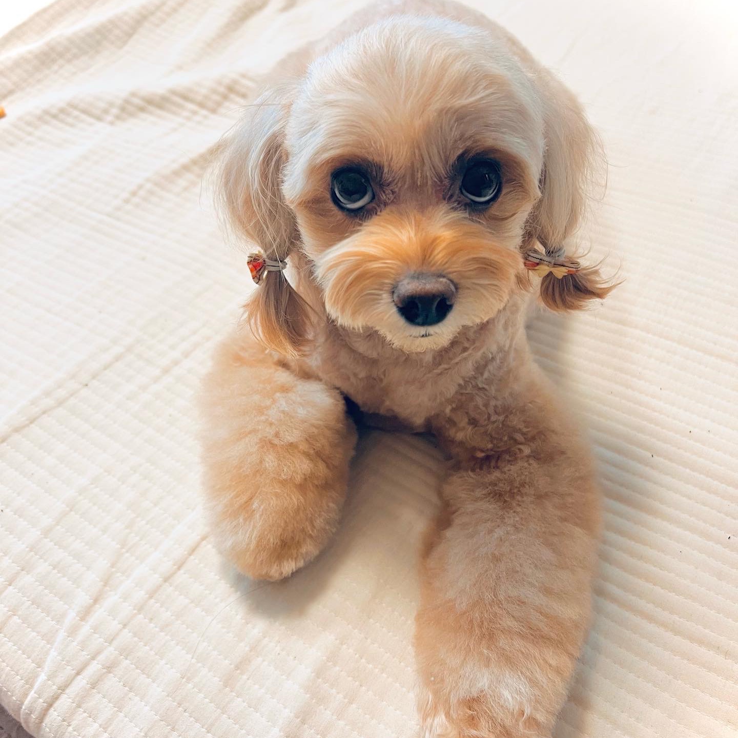 ralphie420님의 스타일 - 1