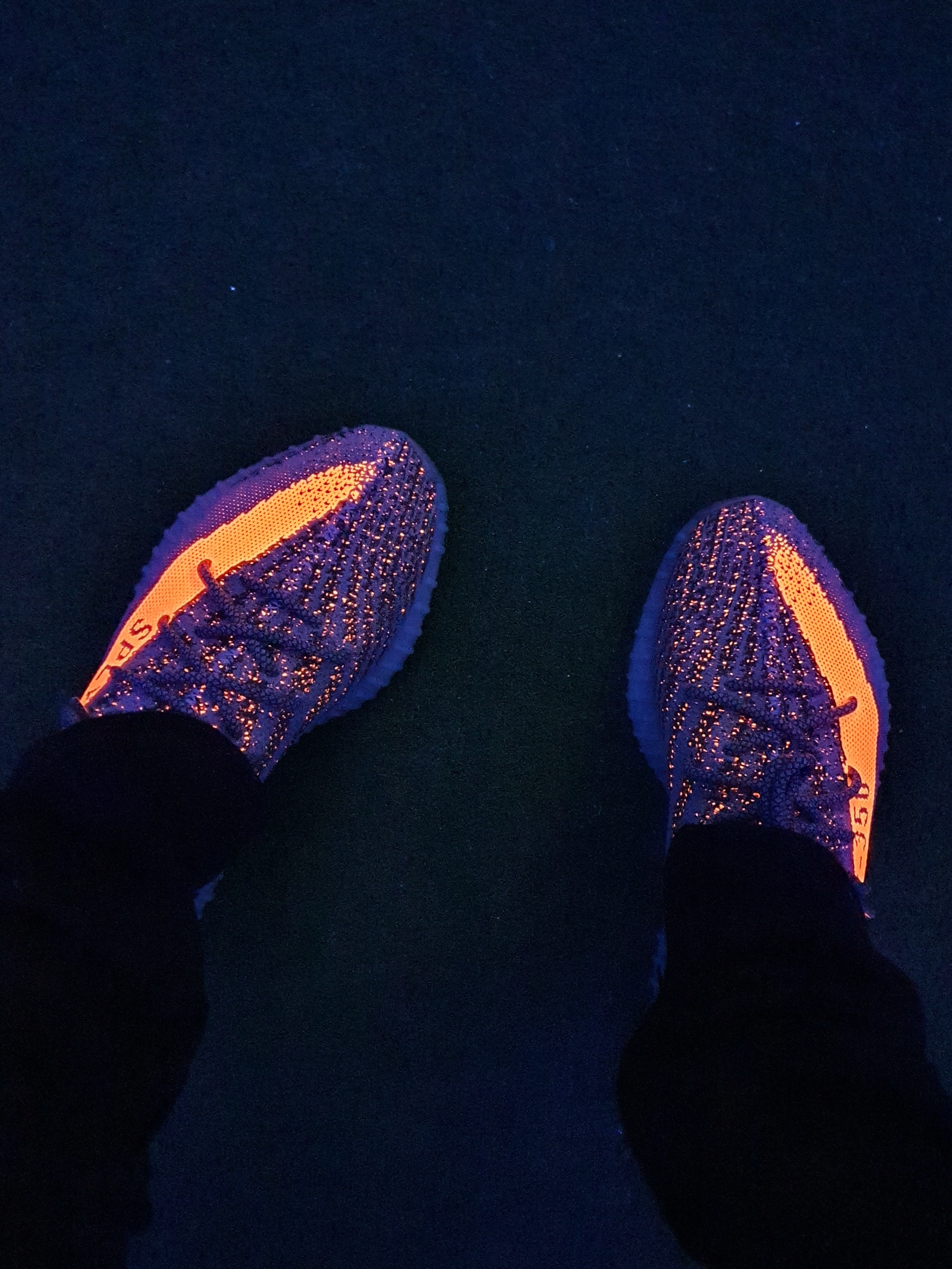 Adidas Yeezy Boost 350 V2 Beluga - Reflective 착용 스타일 - 3