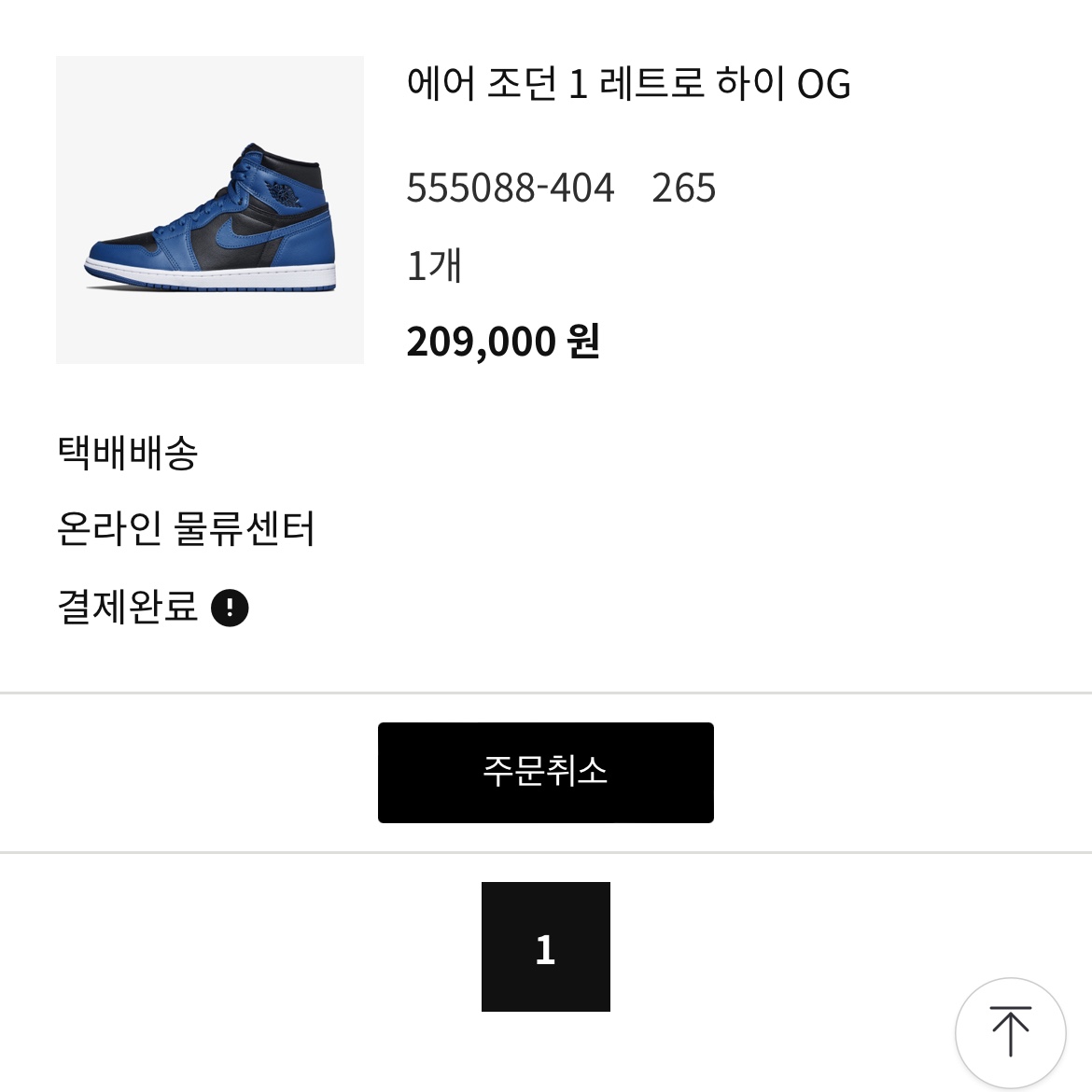 Jordan 1 Retro High OG Dark Marina Blue 착용 스타일