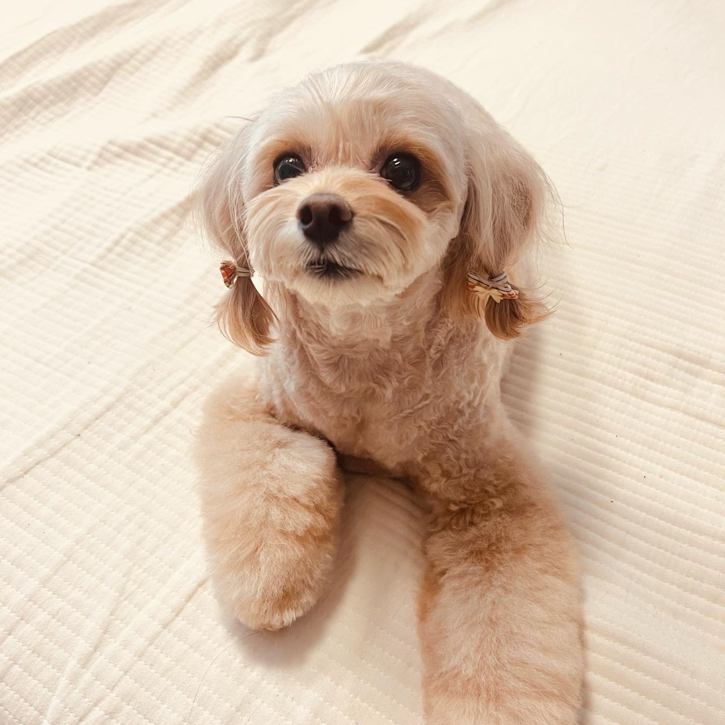 ralphie420님의 스타일 - 3