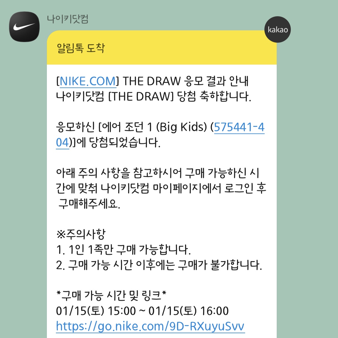 (GS) Jordan 1 Retro High OG Dark Marina Blue 착용 스타일