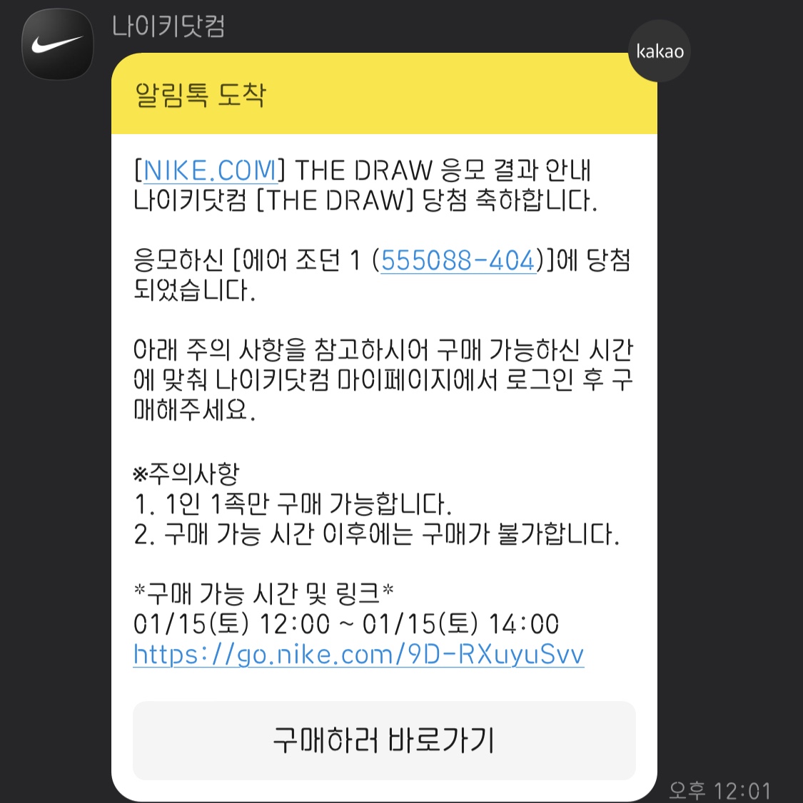 Jordan 1 Retro High OG Dark Marina Blue 착용 스타일
