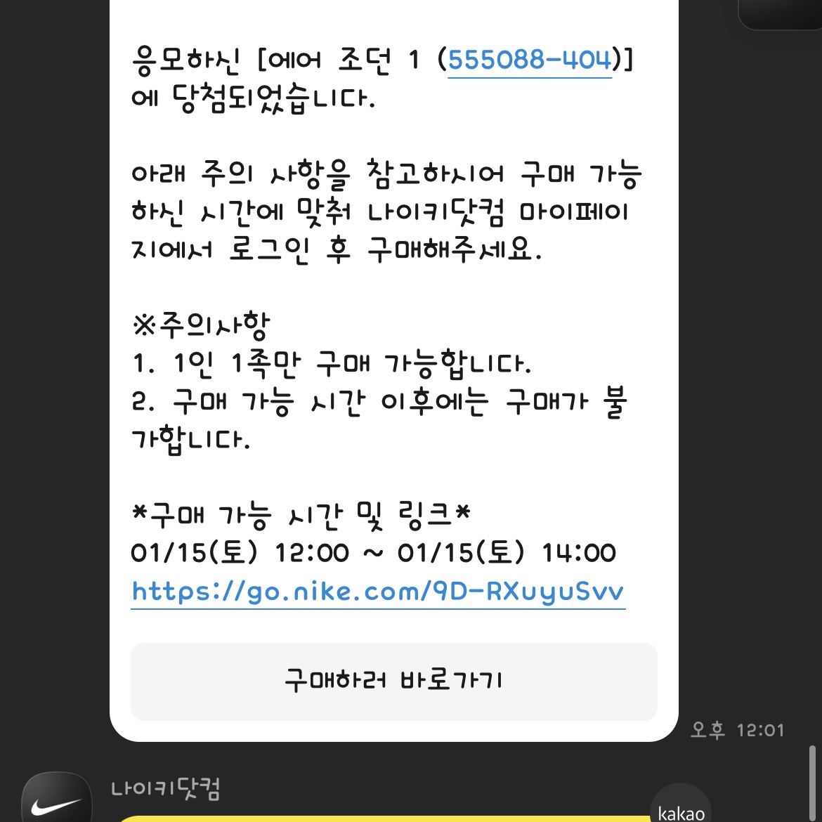 Jordan 1 Retro High OG Dark Marina Blue 착용 스타일 - 1