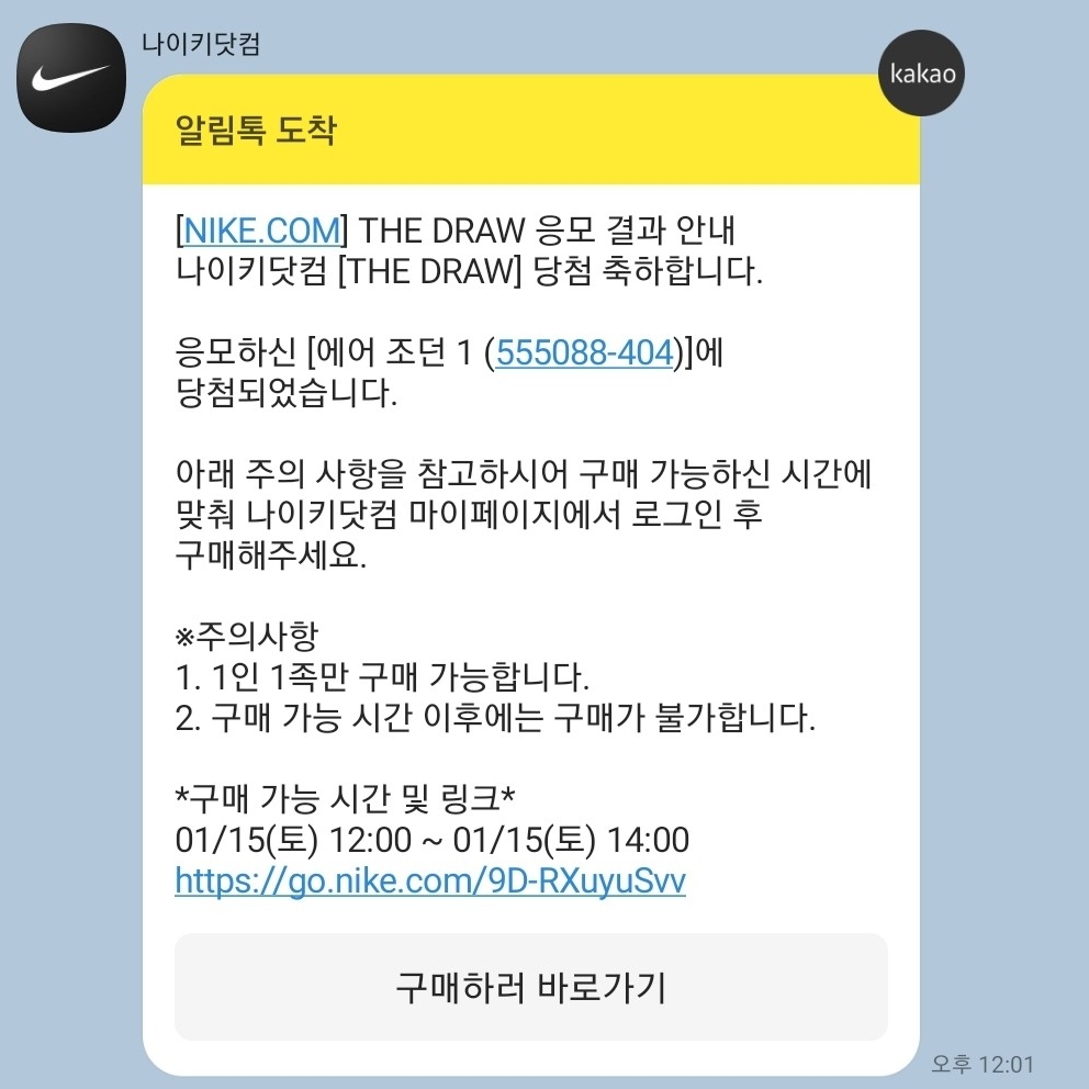 Jordan 1 Retro High OG Dark Marina Blue 착용 스타일