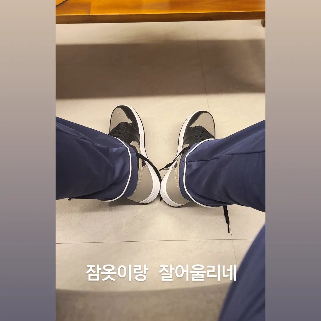 Jordan 1 Retro High OG Shadow 2018 착용 스타일