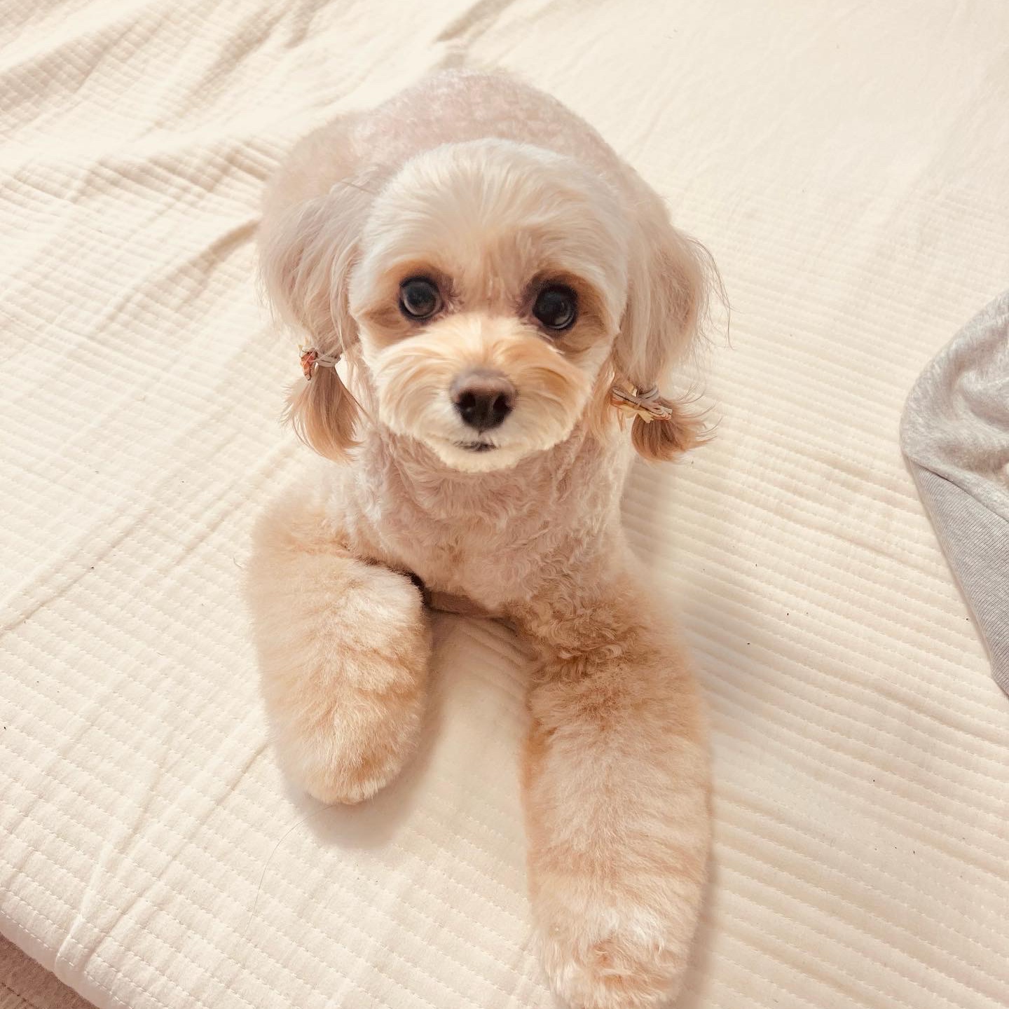 ralphie420님의 스타일 - 2