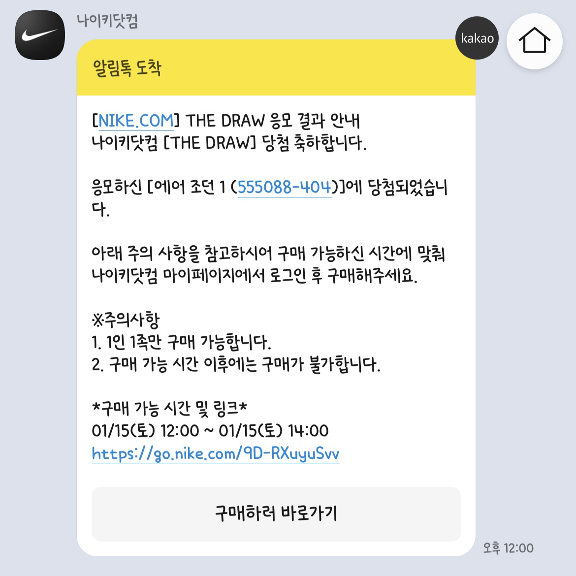 Jordan 1 Retro High OG Dark Marina Blue 착용 스타일