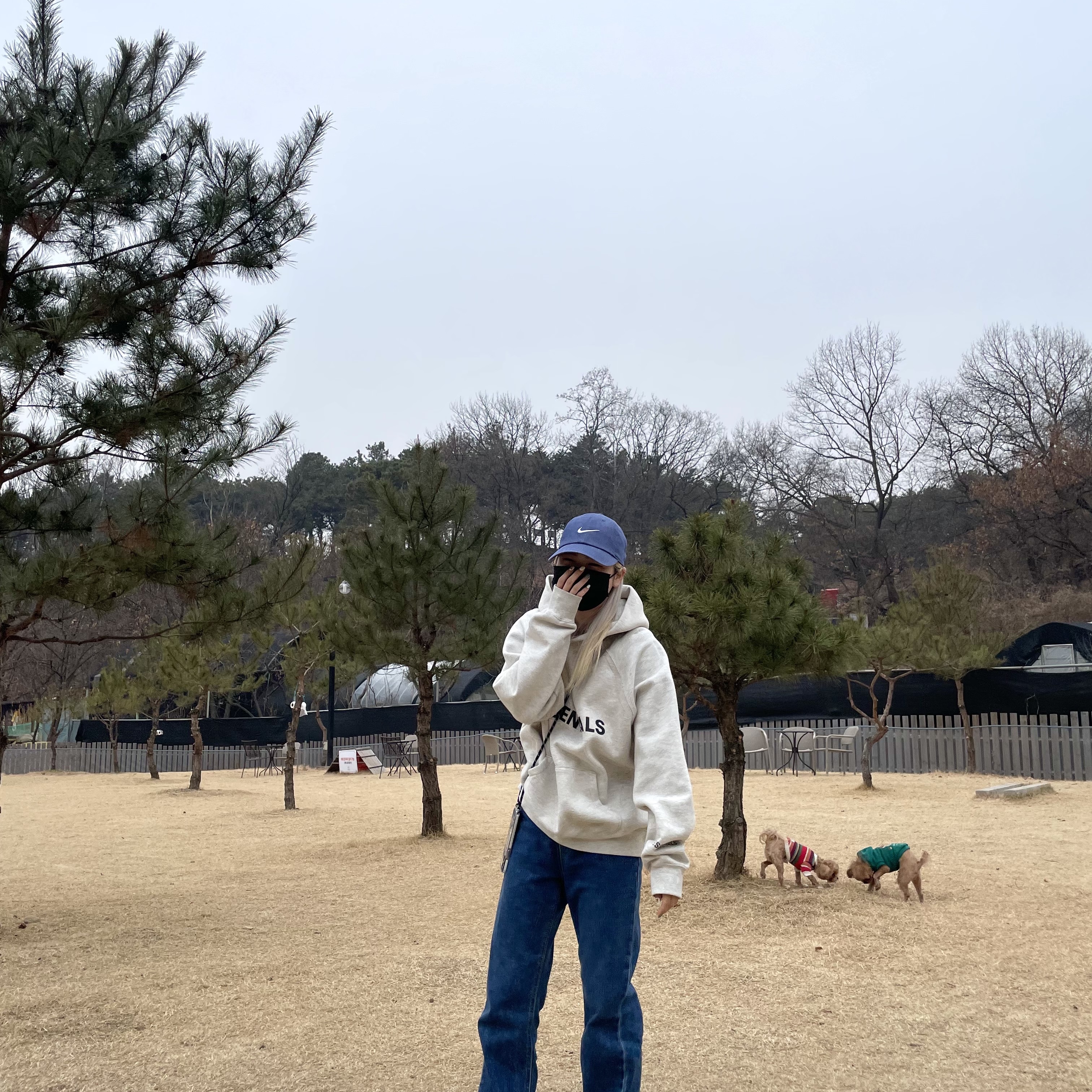 (W) Nike Dunk Low Green Glow, Essentials 3D Silicon Applique Pullover Hoodie Oatmeal/Oatmeal Heather/Light Heather Oatmeal 2020 착용 스타일 - 3