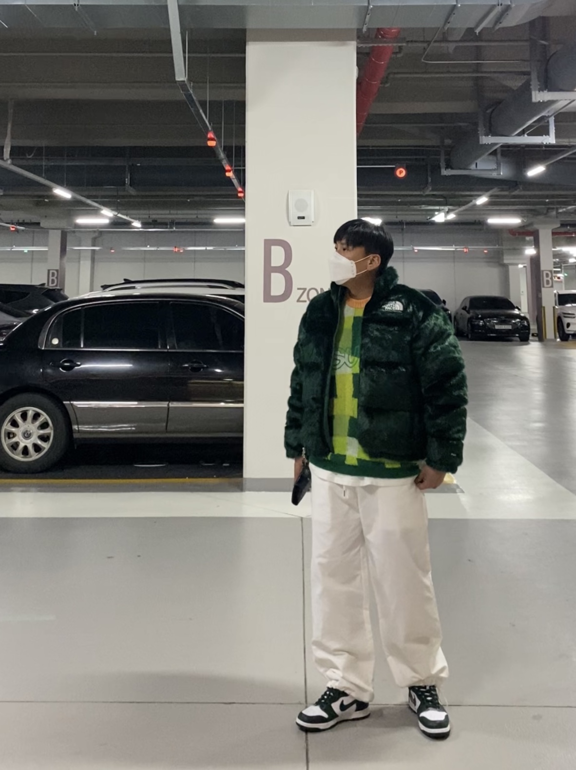 Supreme x The North Face Faux Fur Nuptse Jacket Green - 20FW, Nike Dunk High SP Spartan Green 착용 스타일 - 2