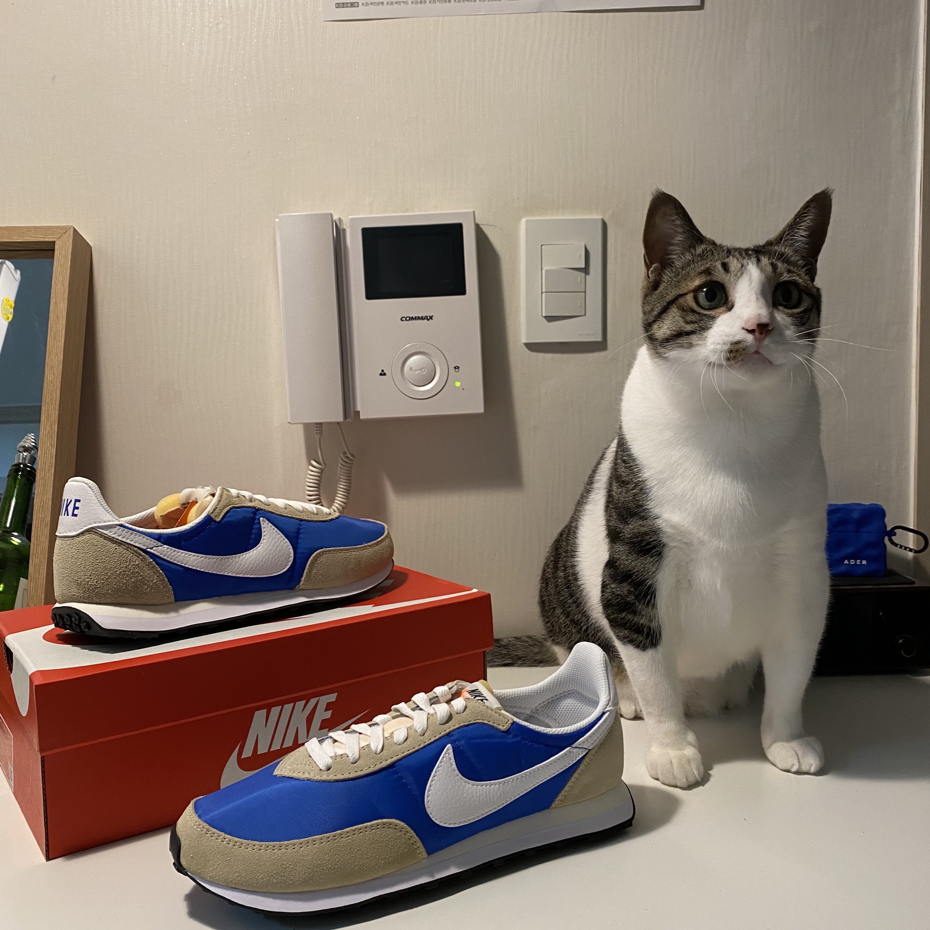 Nike Waffle Trainer 2 Hyper Royal Rattan 착용 스타일 - 3